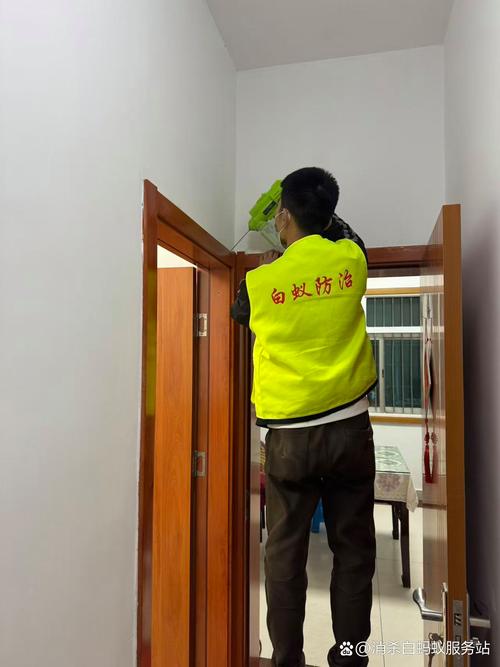 溧陽(yáng)白蟻防治全指南 專業(yè)服務(wù)與咨詢電話詳解